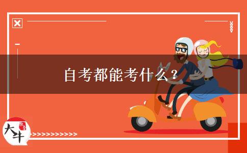 自考都能考什么？