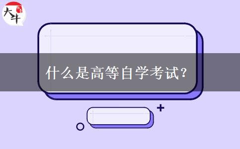 什么是高等自学考试？