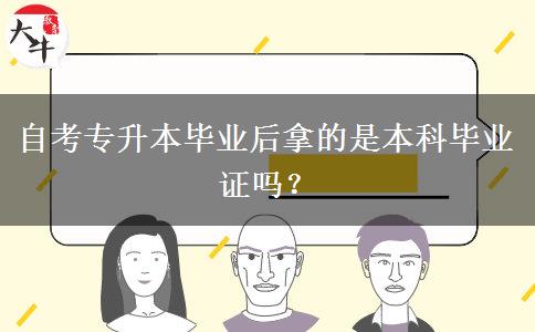 自考专升本毕业后拿的是本科毕业证吗？