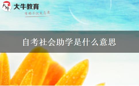 自考社会助学是什么意思