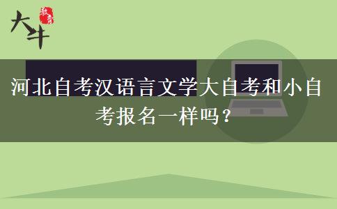 河北自考汉语言文学大自考和小自考报名一样吗？