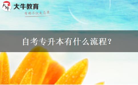 自考专升本有什么流程？
