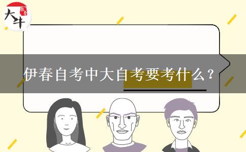 伊春自考中大自考要考什么？