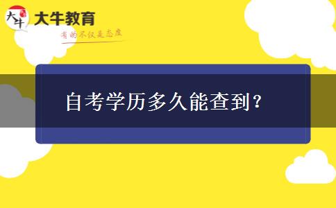 自考学历多久能查到？