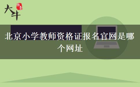 北京小学教师资格证报名官网是哪个网址