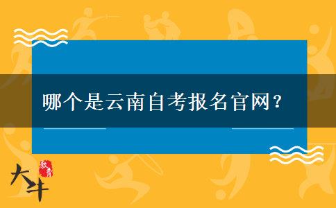 哪个是云南自考报名官网？