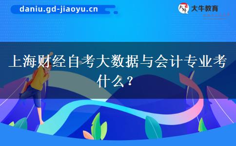 上海财经自考大数据与会计专业考什么？