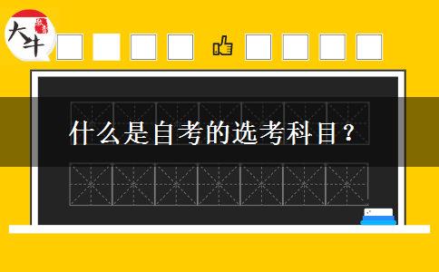 什么是自考的选考科目？