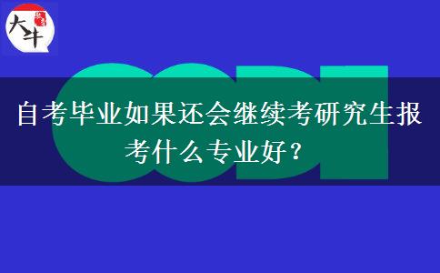 自考毕业如果还会继续考研究生报考什么专业好？