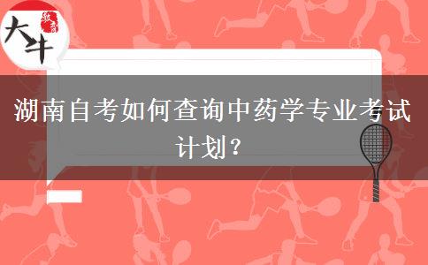 湖南自考如何查询中药学专业考试计划？