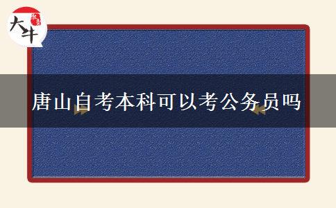 唐山自考本科可以考公务员吗