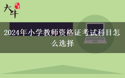 2024年小学教师资格证考试科目怎么选择