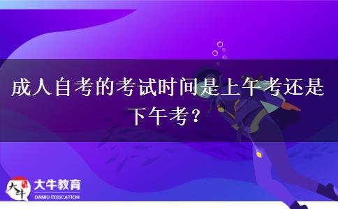 成人自考的考试时间是上午考还是下午考？