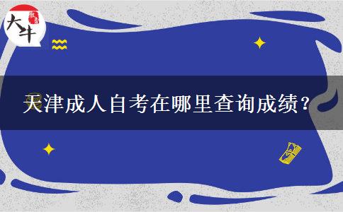 天津成人自考在哪里查询成绩？