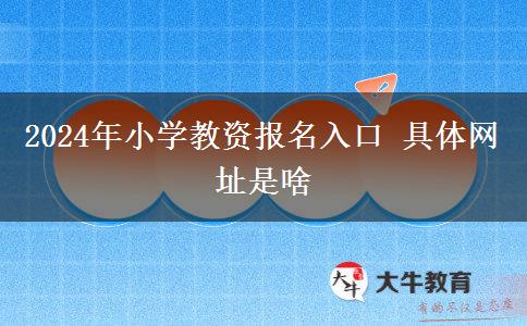 2024年小学教资报名入口 具体网址是啥