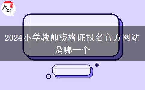 2024小学教师资格证报名官方网站是哪一个