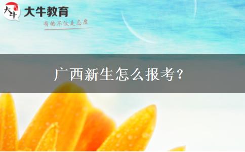 广西新生怎么报考？