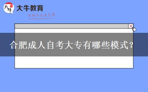 合肥成人自考大专有哪些模式？