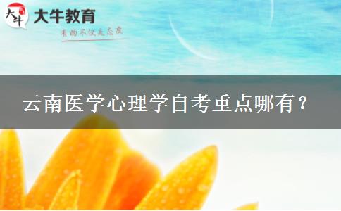云南医学心理学自考重点哪有？