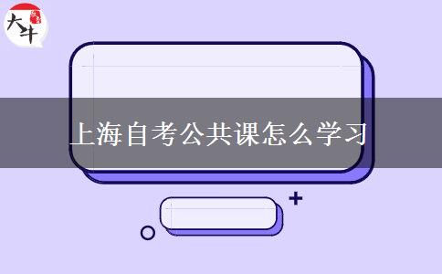 上海自考公共课怎么学习