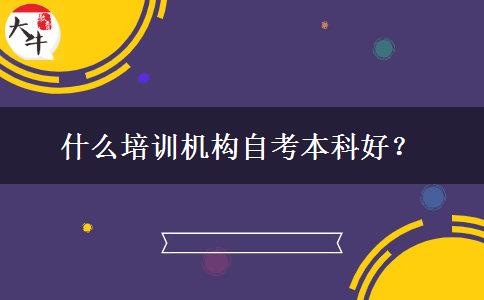 什么培训机构自考本科好？