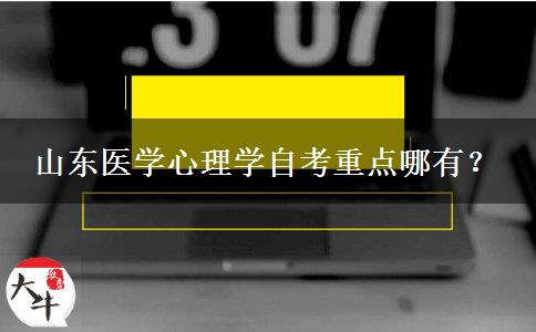 山东医学心理学自考重点哪有？