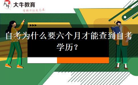 自考为什么要六个月才能查到自考学历？