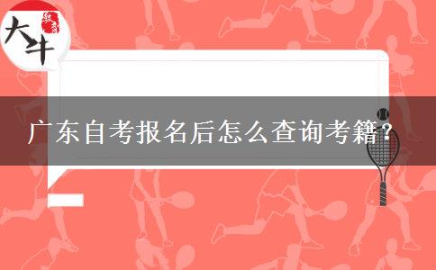 广东自考报名后怎么查询考籍？