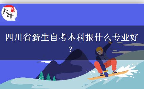 四川省新生自考本科报什么专业好？