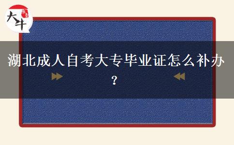 湖北成人自考大专毕业证怎么补办？