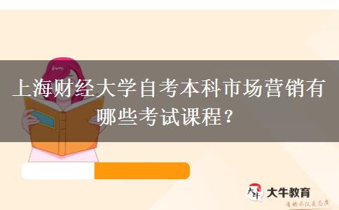上海财经大学自考本科市场营销有哪些考试课程？