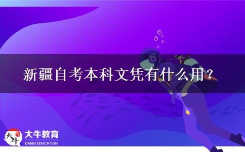 新疆自考本科文凭有什么用？