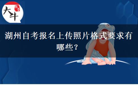 湖州自考报名上传照片格式要求有哪些？