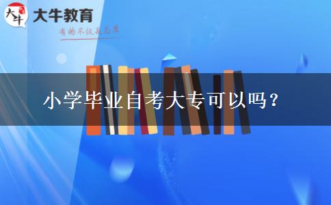 小学毕业自考大专可以吗？