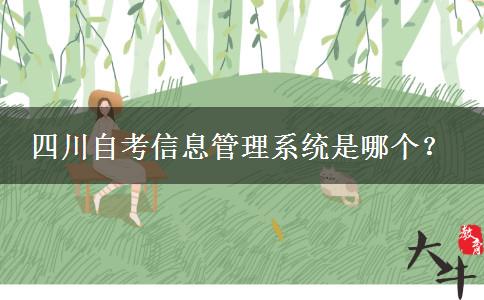 四川自考信息管理系统是哪个？