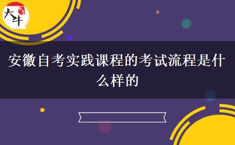 安徽自考实践课程的考试流程是什么样的