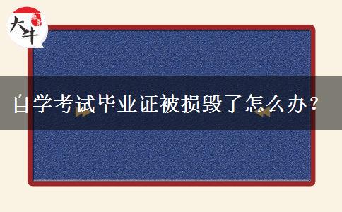 自学考试毕业证被损毁了怎么办？