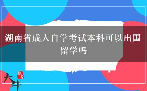 湖南省成人自学考试本科可以出国留学吗