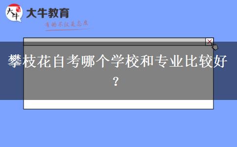 攀枝花自考哪个学校和专业比较好？