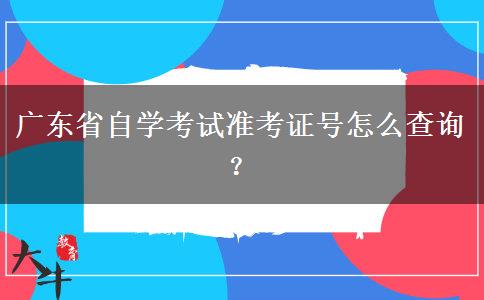 广东省自学考试准考证号怎么查询？