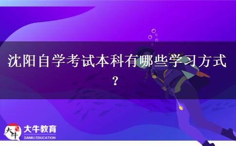 沈阳自学考试本科有哪些学习方式？