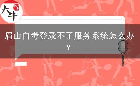 眉山自考登录不了服务系统怎么办？