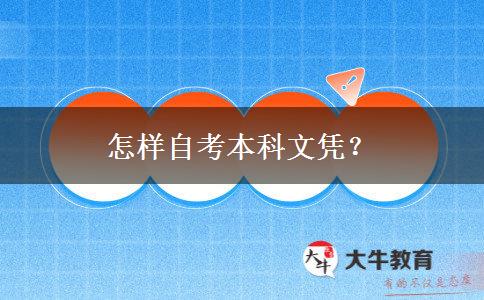 怎样自考本科文凭？