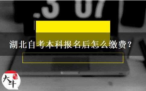 湖北自考本科报名后怎么缴费？