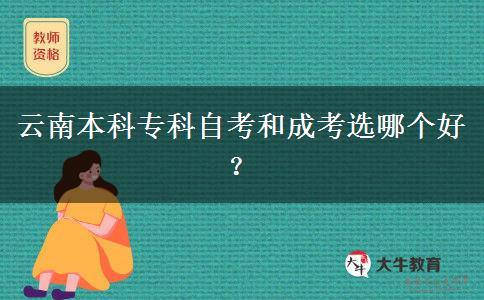 云南本科专科自考和成考选哪个好？