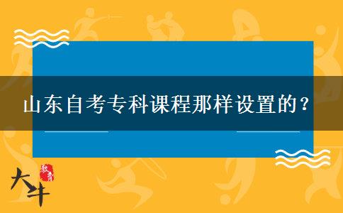 山东自考专科课程那样设置的？