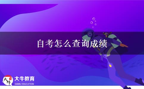 自考怎么查询成绩
