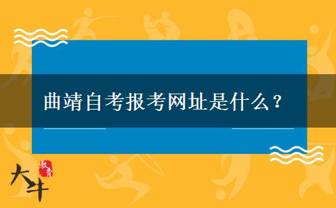 曲靖自考报考网址是什么？