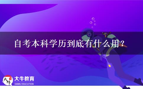 自考本科学历到底有什么用？