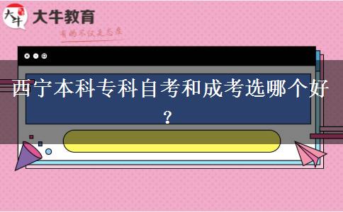 西宁本科专科自考和成考选哪个好？